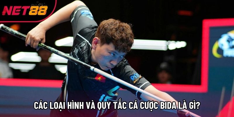 Các loại hình và quy tắc cá cược Bida là gì?