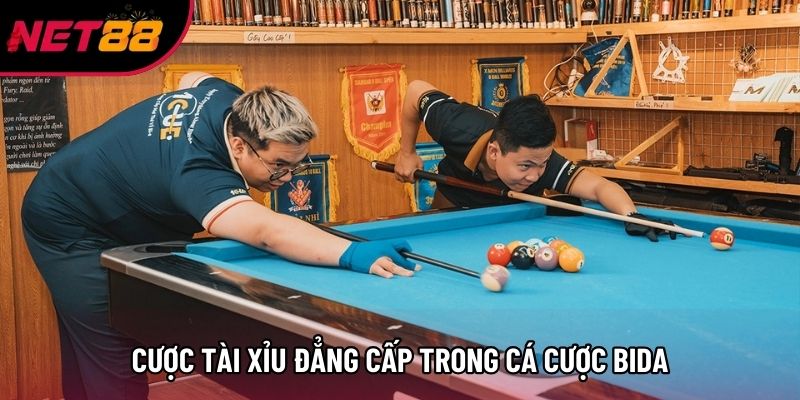 Cược tài xỉu đẳng cấp trong cá cược bida