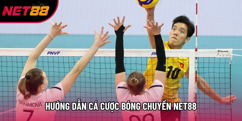 Hướng dẫn cá cược bóng chuyền Net88