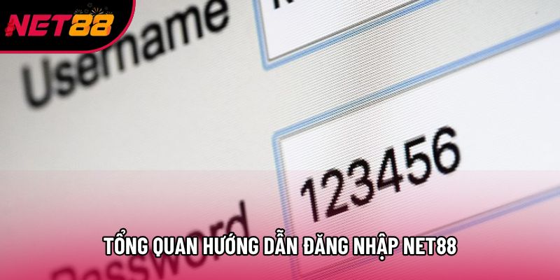 Tổng quan hướng dẫn đăng nhập net88