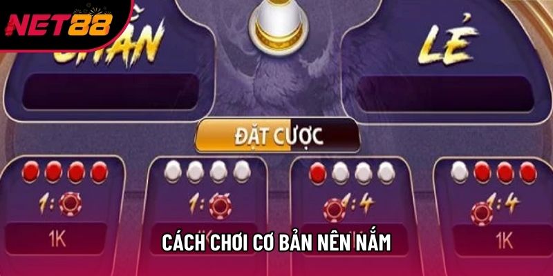 Cách chơi cơ bản nên nắm